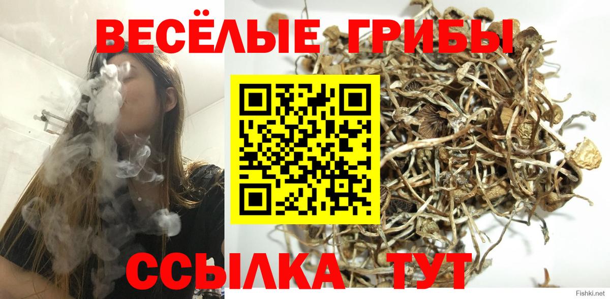 Галлюциногенные грибы Magic Shrooms  Вход с VPN  Заволжье  Псилоцибиновые грибы Psilocybine cubensis 