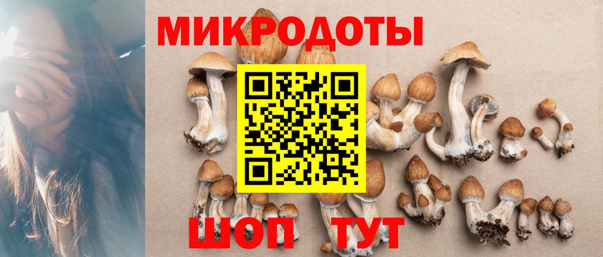 Галлюциногенные грибы Cubensis Заволжье